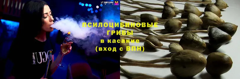 Псилоцибиновые грибы Magic Shrooms  Егорьевск 